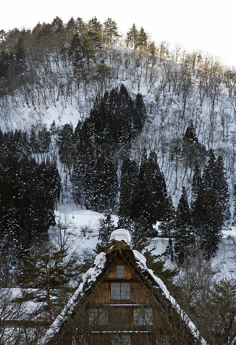 Shirakawago