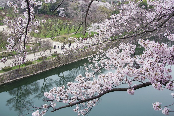 Vistas desde las murallas del castillo