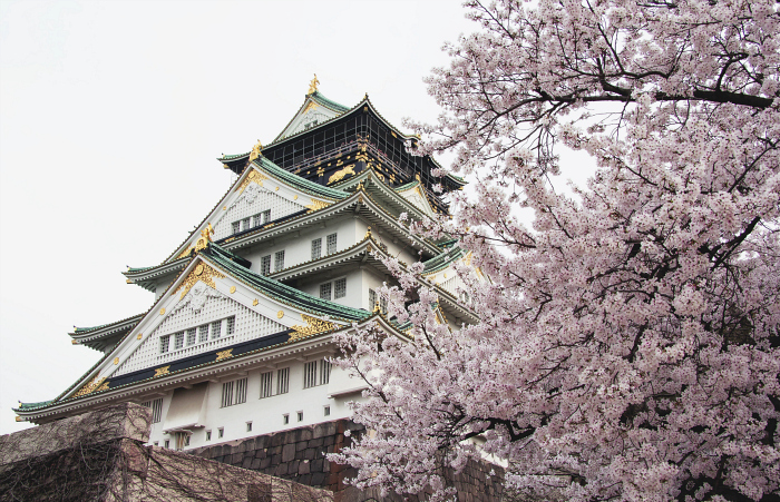 Osaka Sakura