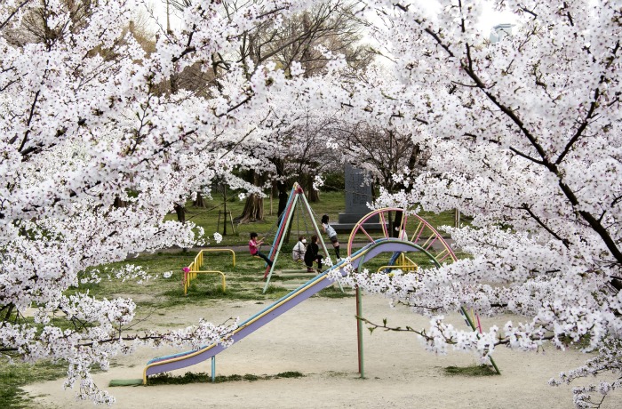 Parque cerca de Sakuranomiya