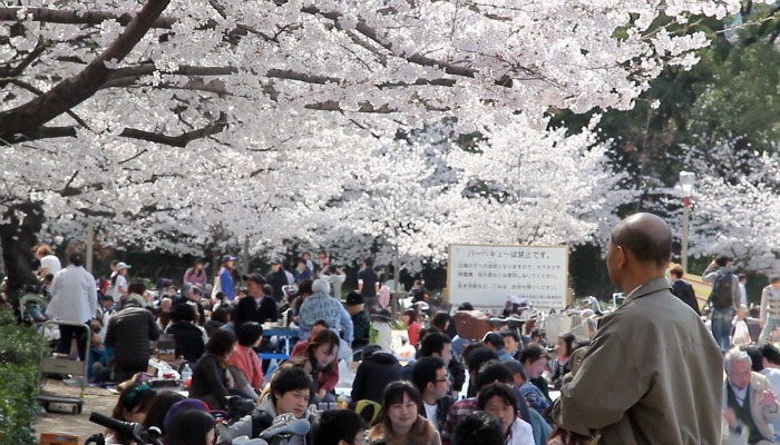 La gente se amontona en los parques cosa mala