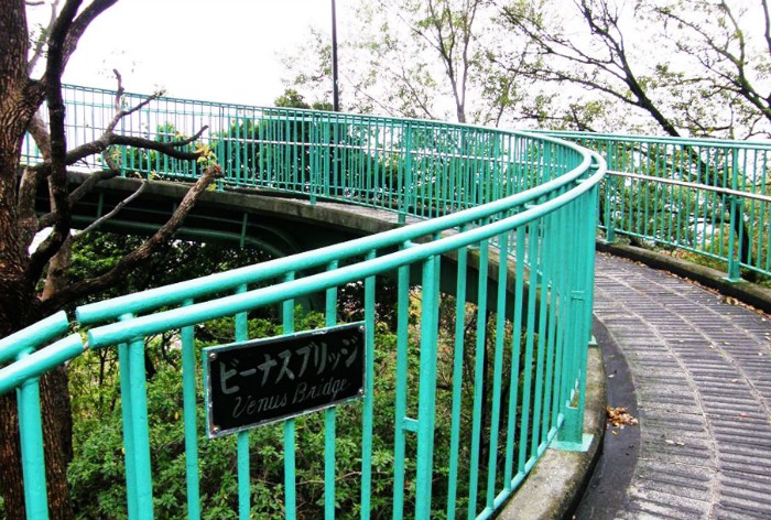 venus bridge