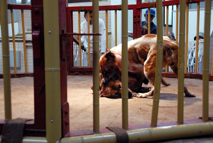 La realidad es menos romántica