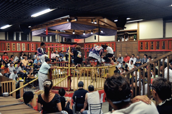 Uno de los rings dedicado a estas peleas en Japón