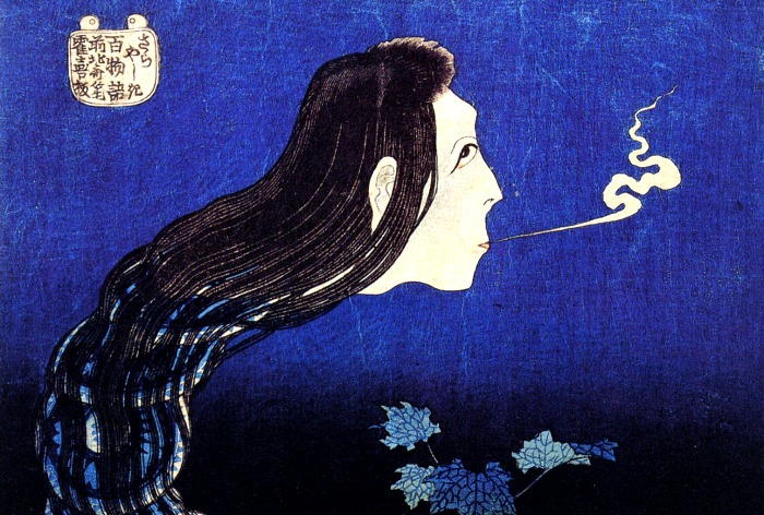 Hokusai Sarayashiki