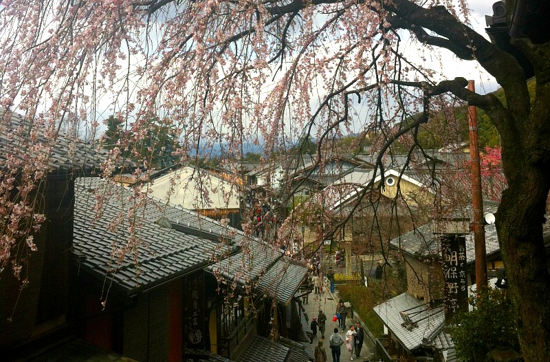 sakura-kyoto